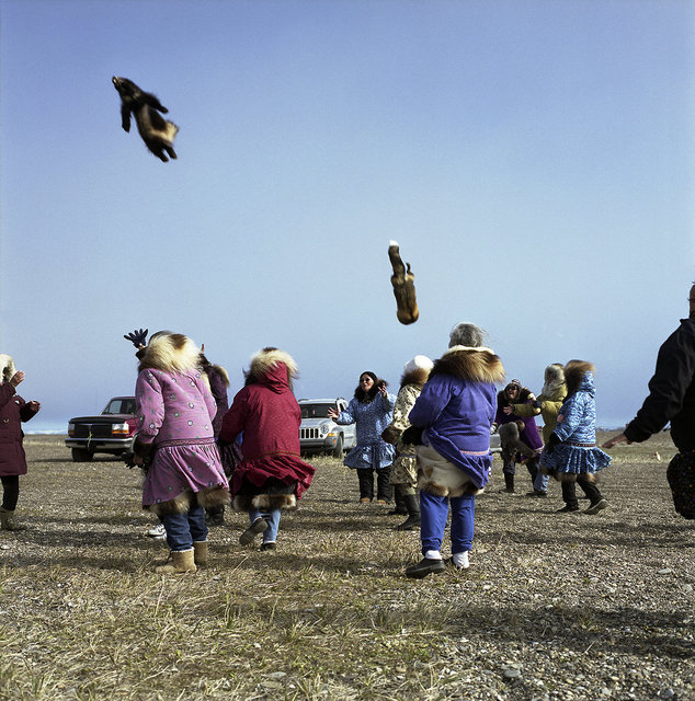 Elders catching gifts thrown from the blanket toss at Kagruk, the whaling festival, 2009