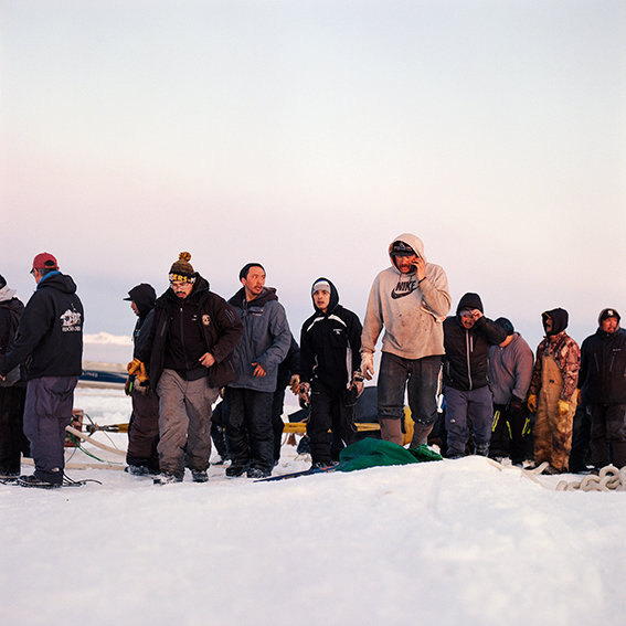 'Two o'clock!,' a break while pulling up the whale, April 2017