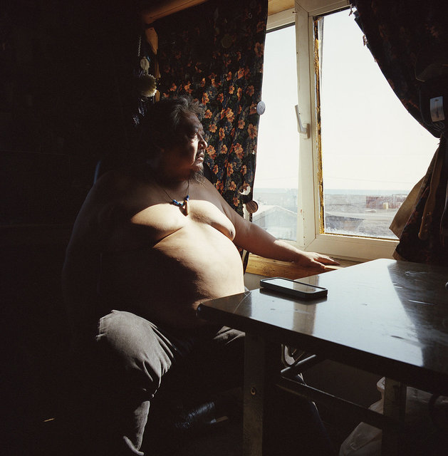 Steve, 2014