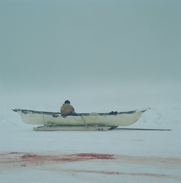 Man looking out over the lead in an umiak, 2012