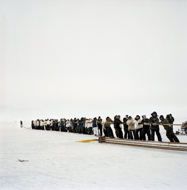 pulling up the whale, 2012