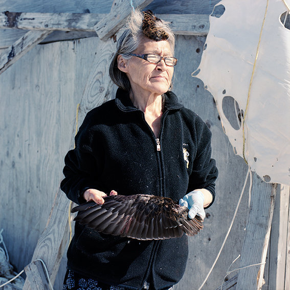 Pauline preparing feathers of an Eider duck, 2017