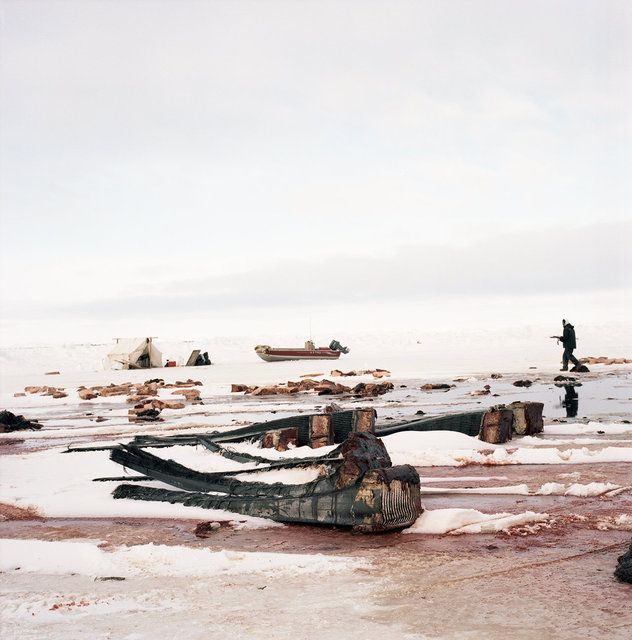 Baleen, 2012