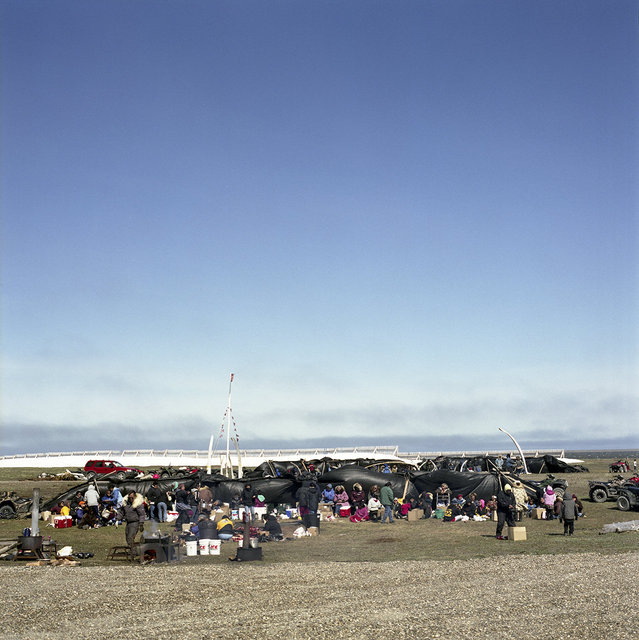 Kagruk, 2009