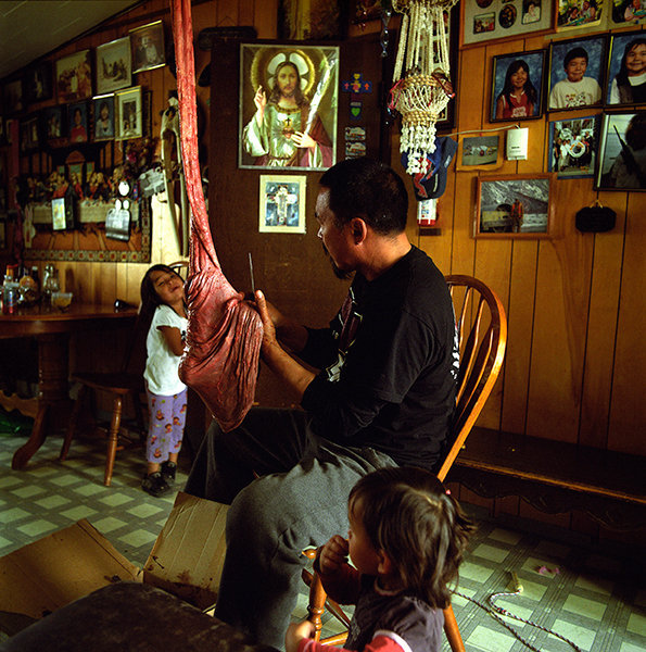 Art prepares the stomach of a walrus for a drum, July 2013