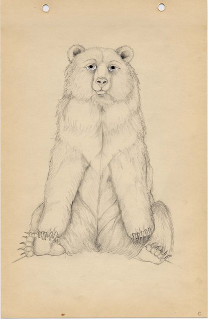 Bear (2005)