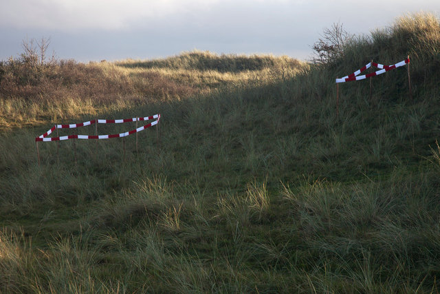 _MG_0415.jpg
