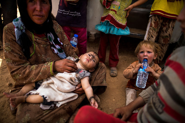 Escape to europe -  turkish-syrian border