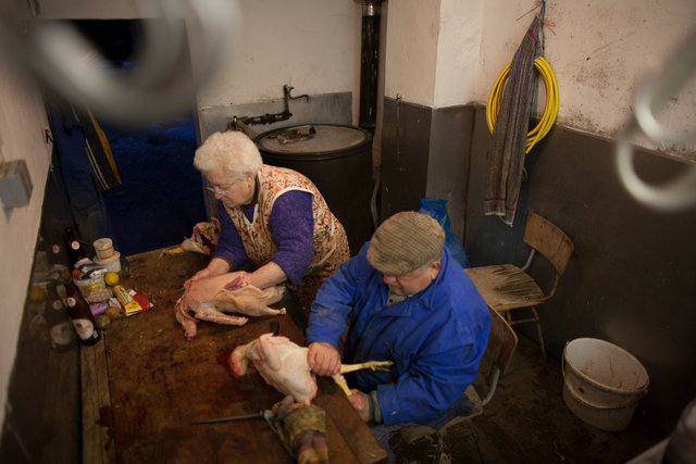 The farming couple Helmut and Hertha in Froeßnitz, Germany, live like they are in another time.