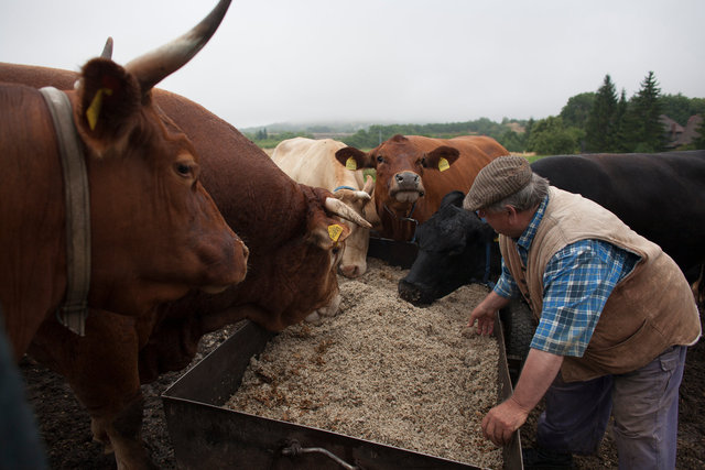The farming couple Helmut and Hertha in Froeßnitz, Germany, live like they are in another time.