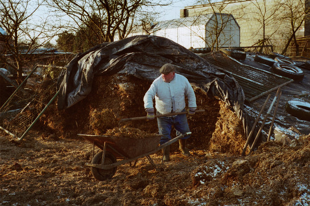 The farming couple Helmut and Hertha in Froeßnitz, Germany, live like they are in another time.