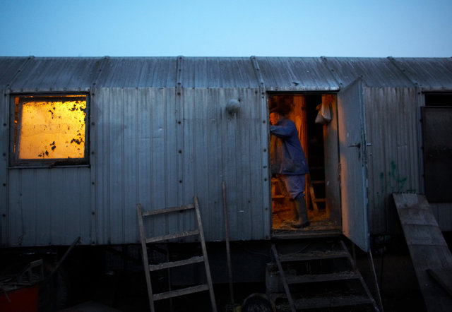 The farming couple Helmut and Hertha in Froeßnitz, Germany, live like they are in another time.