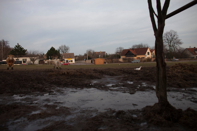 The farming couple Helmut and Hertha in Froeßnitz, Germany, live like they are in another time.