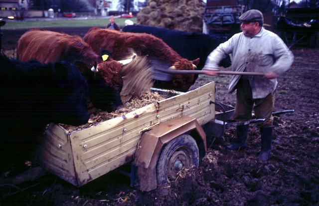 The farming couple Helmut and Hertha in Froeßnitz, Germany, live like they are in another time.