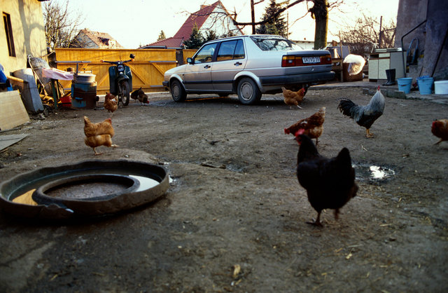 The farming couple Helmut and Hertha in Froeßnitz, Germany, live like they are in another time.
