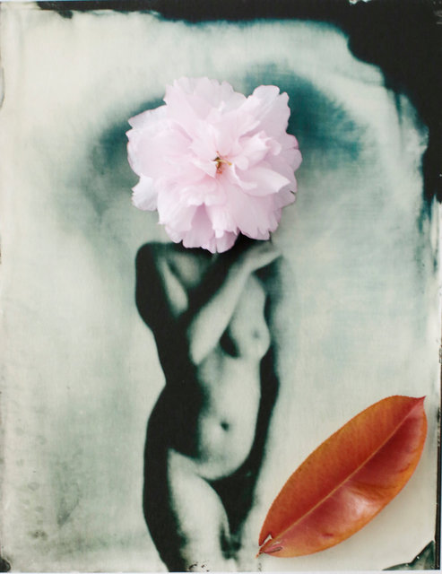 FLOWERS_1_039.JPG