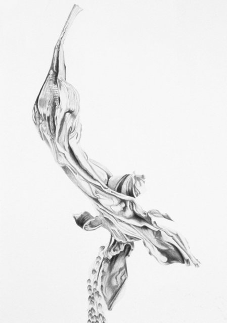 Hibiscus Untitled I - Sold