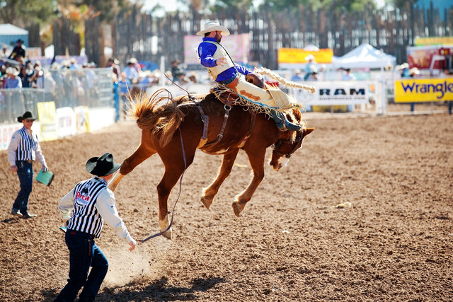 Tucson Rodeo II