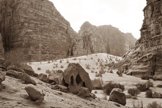 Wadi Rum B&W