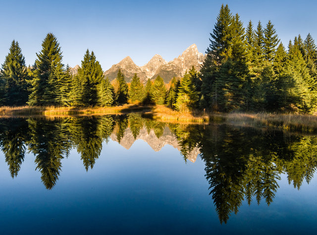 Beaver pond reflection, near Schwabacher's Landing, 