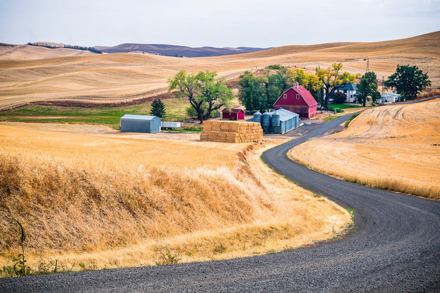 Palouse farmstead