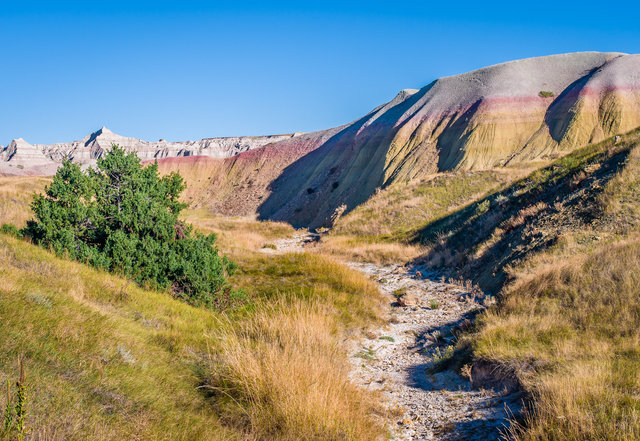 Dry stream bed and yellow mounds
