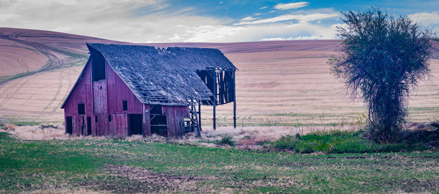 Dilapidated barn