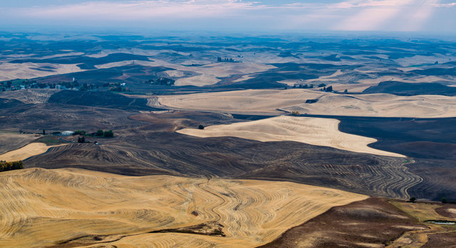 View from Steptoe Butte