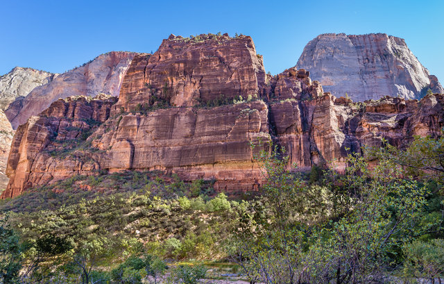 The Organ & The Great White Throne