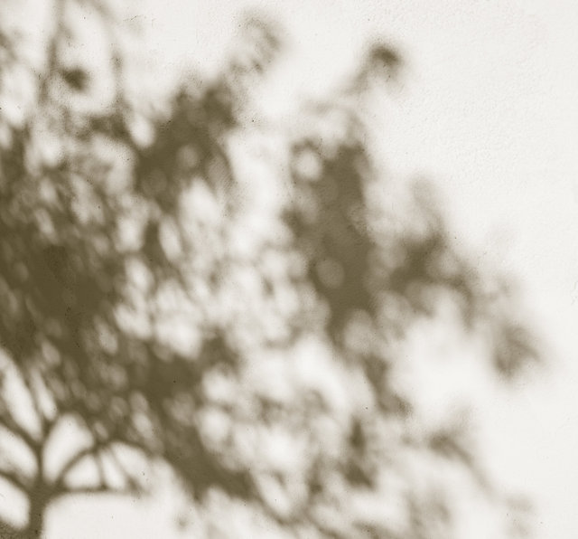 the shadow of your smile, 14