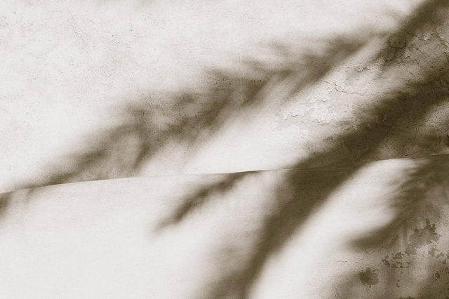 the shadow of your smile, 4