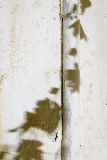 the shadow of your smile, 9