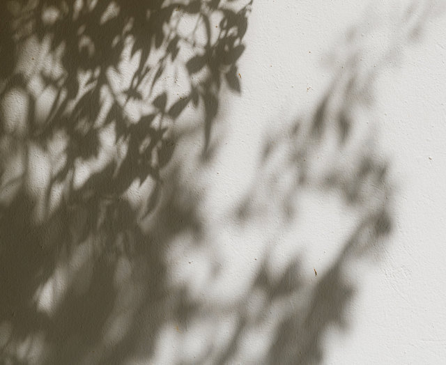 the shadow of your smile, 2