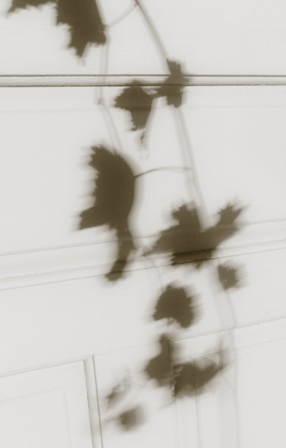 the shadow of your smile, 5