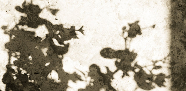 the shadow of your smile, 13