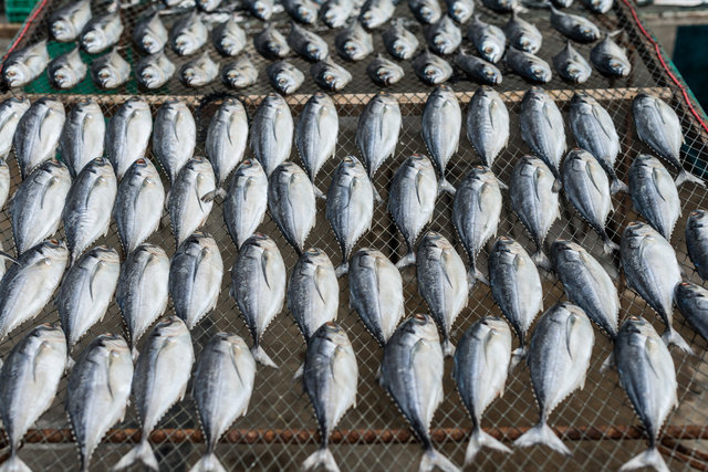 Pak Nam Pran, Thailand