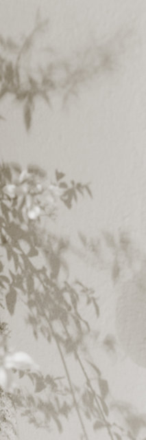 the shadow of your smile, 7