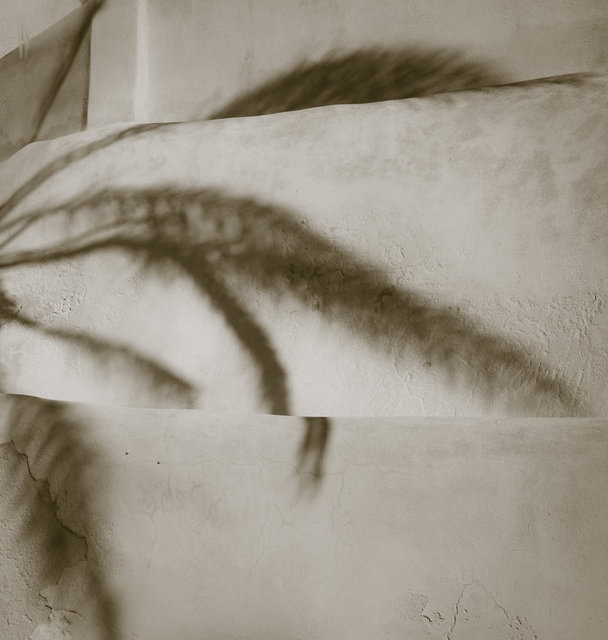 the shadow of your smile, 15