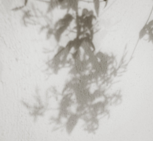 the shadow of your smile, 6