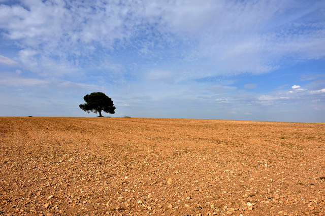 Paysage de la Mancha près de san Clemente
