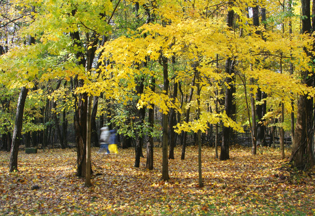 Autumn, Cuyahoga Valley National Park, Ohio