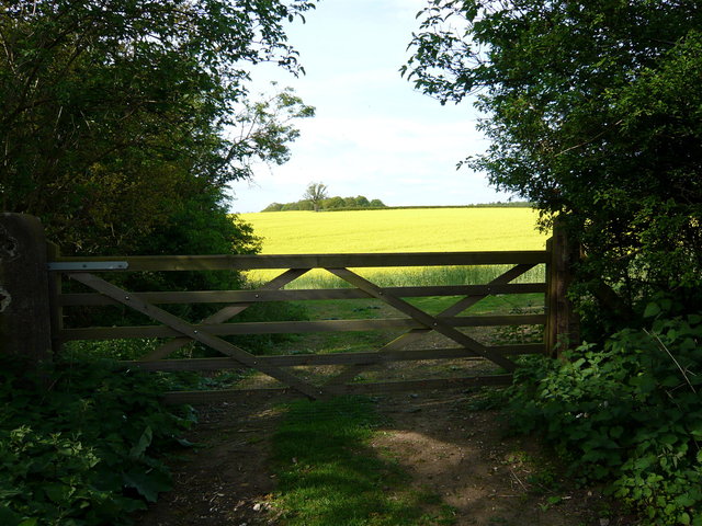 Gate, Rape on Ayot Greenway VB.JPG