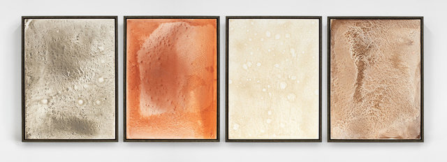 Thresholds: a chorus (Paris, Sydney)