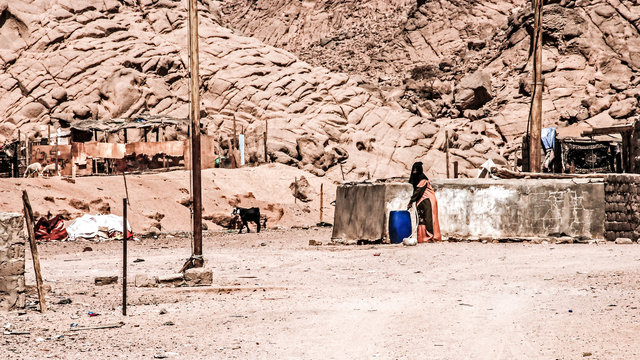 Beduoin women cropped.jpg