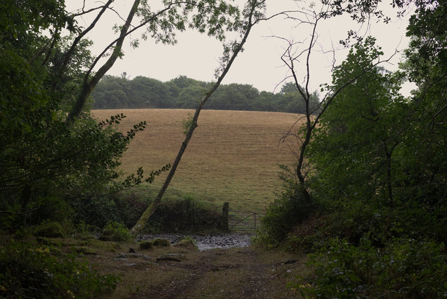 Edenway-00040.jpg
