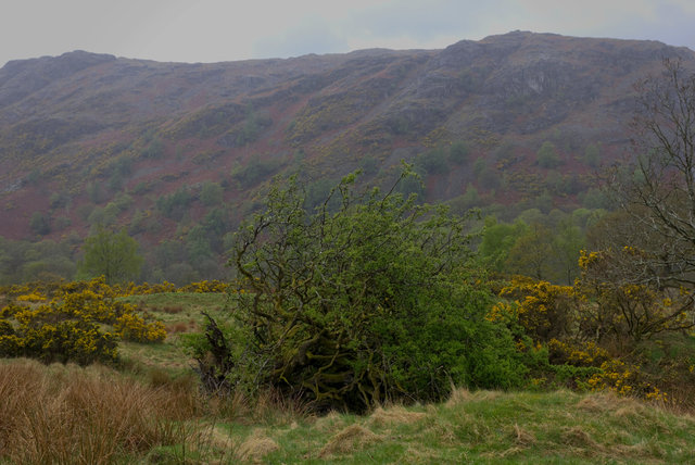 Coniston-00044.jpg