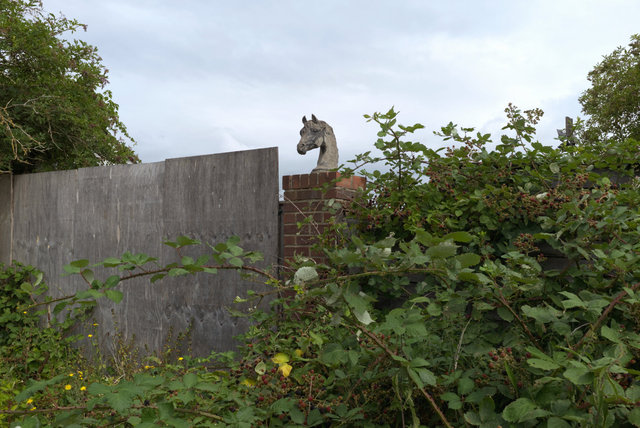 DSCF8138.jpg