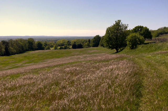 EF2Y-00213.jpg