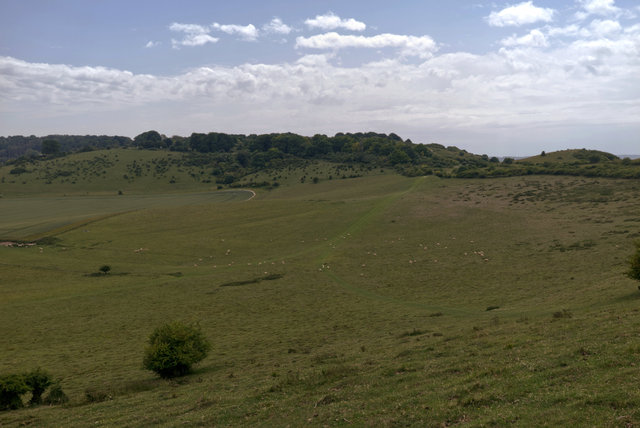Tring_00206.jpg