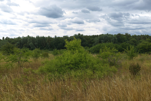 DSCF8222.jpg